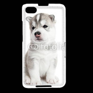 Coque Blackberry Z30 Chiot Husky Sibérien 500