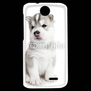 Coque HTC Desire 310 Chiot Husky Sibérien 500
