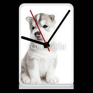 Pendule de bureau Chiot Husky Sibérien 500