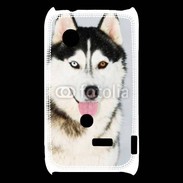 Coque Sony Xperia Typo portrait Husky 500