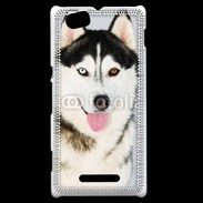 Coque Sony Xperia M portrait Husky 500