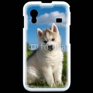Coque Samsung ACE S5830 Chiot Husky Sibérien 510