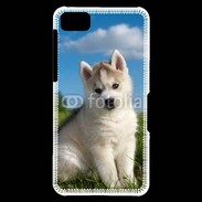 Coque Blackberry Z10 Chiot Husky Sibérien 510