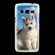 Coque Samsung Galaxy Express2 Chiot Husky Sibérien 510