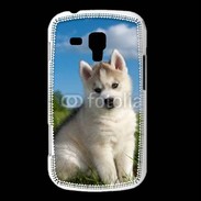 Coque Samsung Galaxy Trend Chiot Husky Sibérien 510