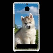 Coque Sony Xperia E1 Chiot Husky Sibérien 510