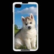 Coque Blackberry Z30 Chiot Husky Sibérien 510
