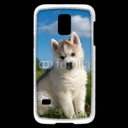 Coque Samsung Galaxy S5 Mini Chiot Husky Sibérien 510
