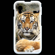 Coque Samsung ACE S5830 Tigre