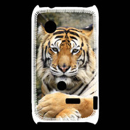 Coque Sony Xperia Typo Tigre