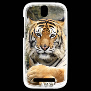 Coque HTC One SV Tigre