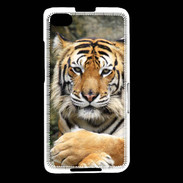 Coque Blackberry Z30 Tigre