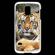 Coque Samsung Galaxy S5 Mini Tigre