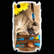 Coque Blackberry 8520 Chiot Carlin