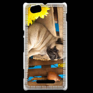 Coque Sony Xperia M Chiot Carlin
