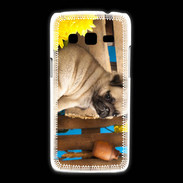 Coque Samsung Galaxy Express2 Chiot Carlin