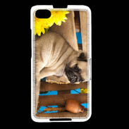 Coque Blackberry Z30 Chiot Carlin