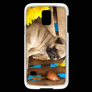 Coque Samsung Galaxy S5 Mini Chiot Carlin