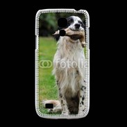 Coque Samsung Galaxy S4mini setter anglais avec bécasse