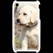 Coque iPhone 3G / 3GS Adorable labrador