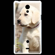 Coque Sony Xperia T Adorable labrador