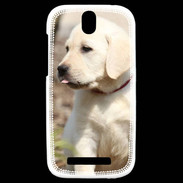 Coque HTC One SV Adorable labrador