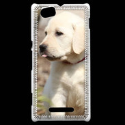 Coque Sony Xperia M Adorable labrador