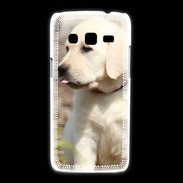 Coque Samsung Galaxy Express2 Adorable labrador