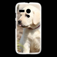 Coque Motorola G Adorable labrador