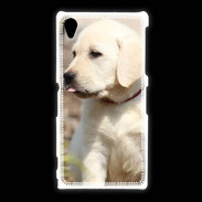 Coque Sony Xpéria Z1 Adorable labrador