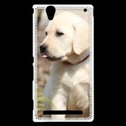 Coque Sony Xperia T2 Ultra Adorable labrador