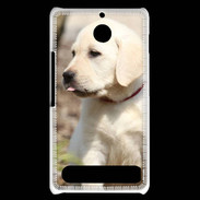 Coque Sony Xperia E1 Adorable labrador