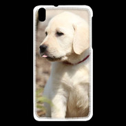 Coque HTC Desire 816 Adorable labrador