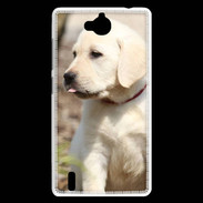 Coque Huawei Ascend G740 Adorable labrador