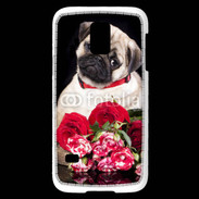 Coque Samsung Galaxy S5 Mini Chiot et fleurs rouges
