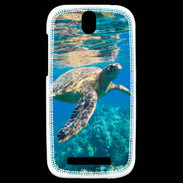 Coque HTC One SV Tortue de mer 3