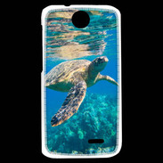Coque HTC Desire 310 Tortue de mer 3