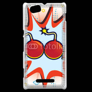 Coque Sony Xperia M Boom Carton 500