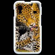 Coque Samsung ACE S5830 Léopard avec son petit 15