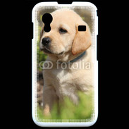 Coque Samsung ACE S5830 Portrait de chiot Labrador 800