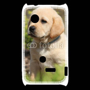 Coque Sony Xperia Typo Portrait de chiot Labrador 800