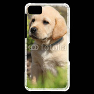Coque Blackberry Z10 Portrait de chiot Labrador 800