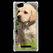 Coque Sony Xperia M Portrait de chiot Labrador 800
