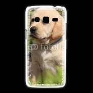 Coque Samsung Galaxy Express2 Portrait de chiot Labrador 800