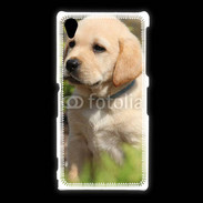 Coque Sony Xpéria Z1 Portrait de chiot Labrador 800