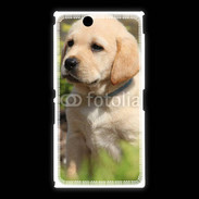 Coque Sony Xpéria Z Ultra Portrait de chiot Labrador 800