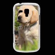 Coque Samsung Galaxy Trend Portrait de chiot Labrador 800