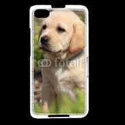 Coque Blackberry Z30 Portrait de chiot Labrador 800