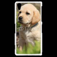 Coque Sony Xperia Z2 Portrait de chiot Labrador 800