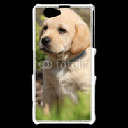 Coque Sony Xperia Z1 Compact Portrait de chiot Labrador 800